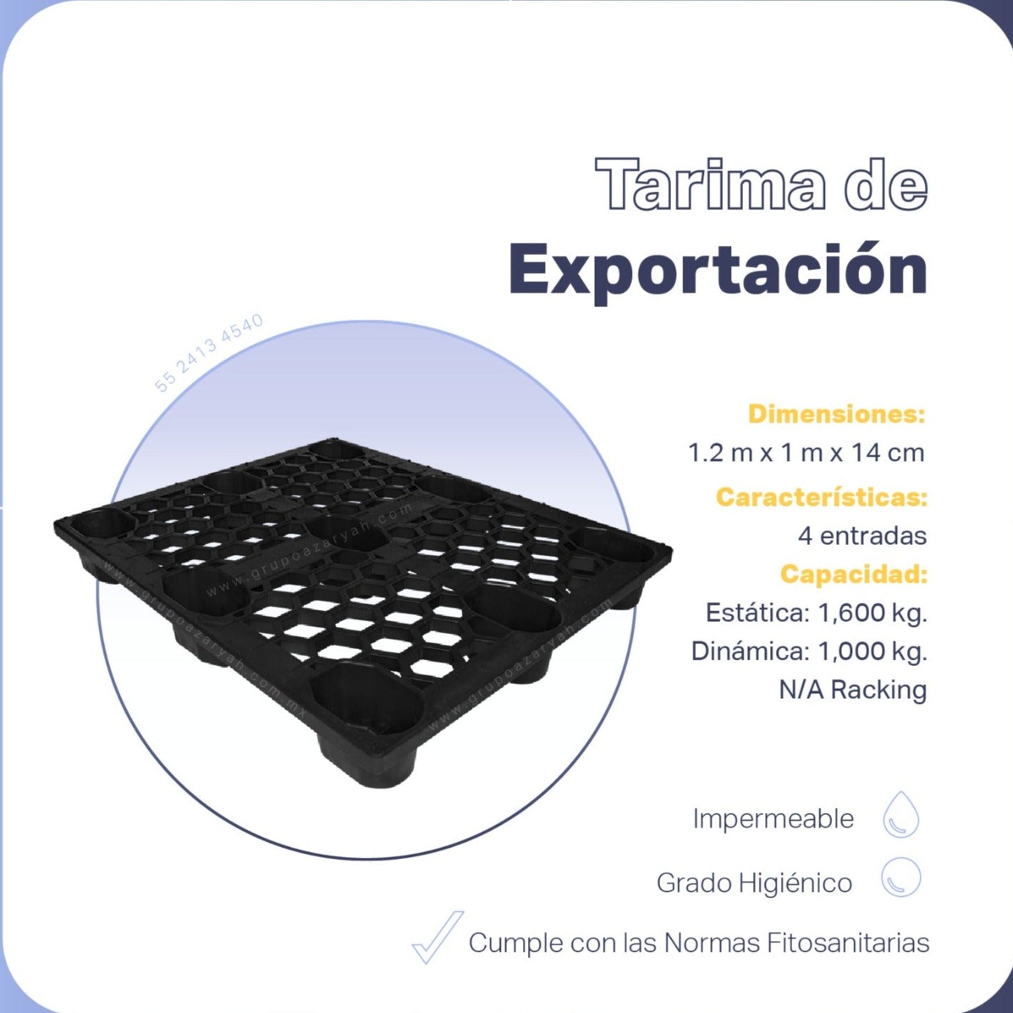 10 Tarimas para Exportación io 12-1