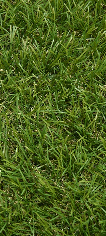 Pasto Sintético Tulum (35mm) / m2