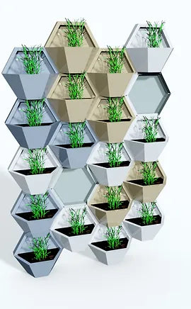 DECOCULTIVO (Pared de cultivo)