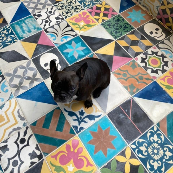 Mosaico Artesanal "Mix" / m2