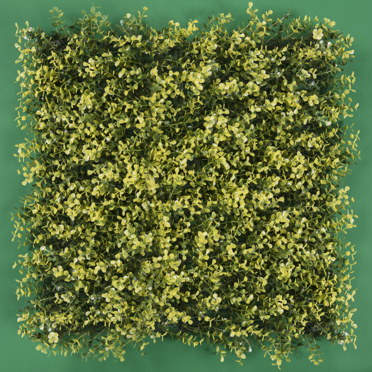 Follaje Artificial Arrayan / Caja con 12 pzs. de 50x50 cm