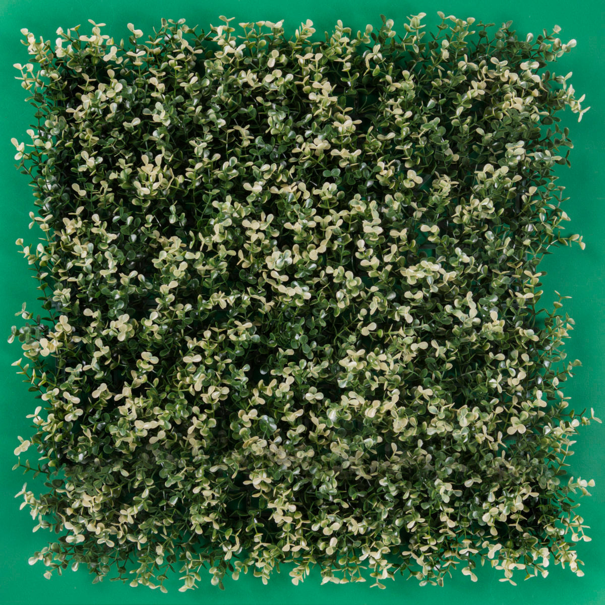 Follaje Artificial Arrayan / Caja con 12 pzs. de 50x50 cm