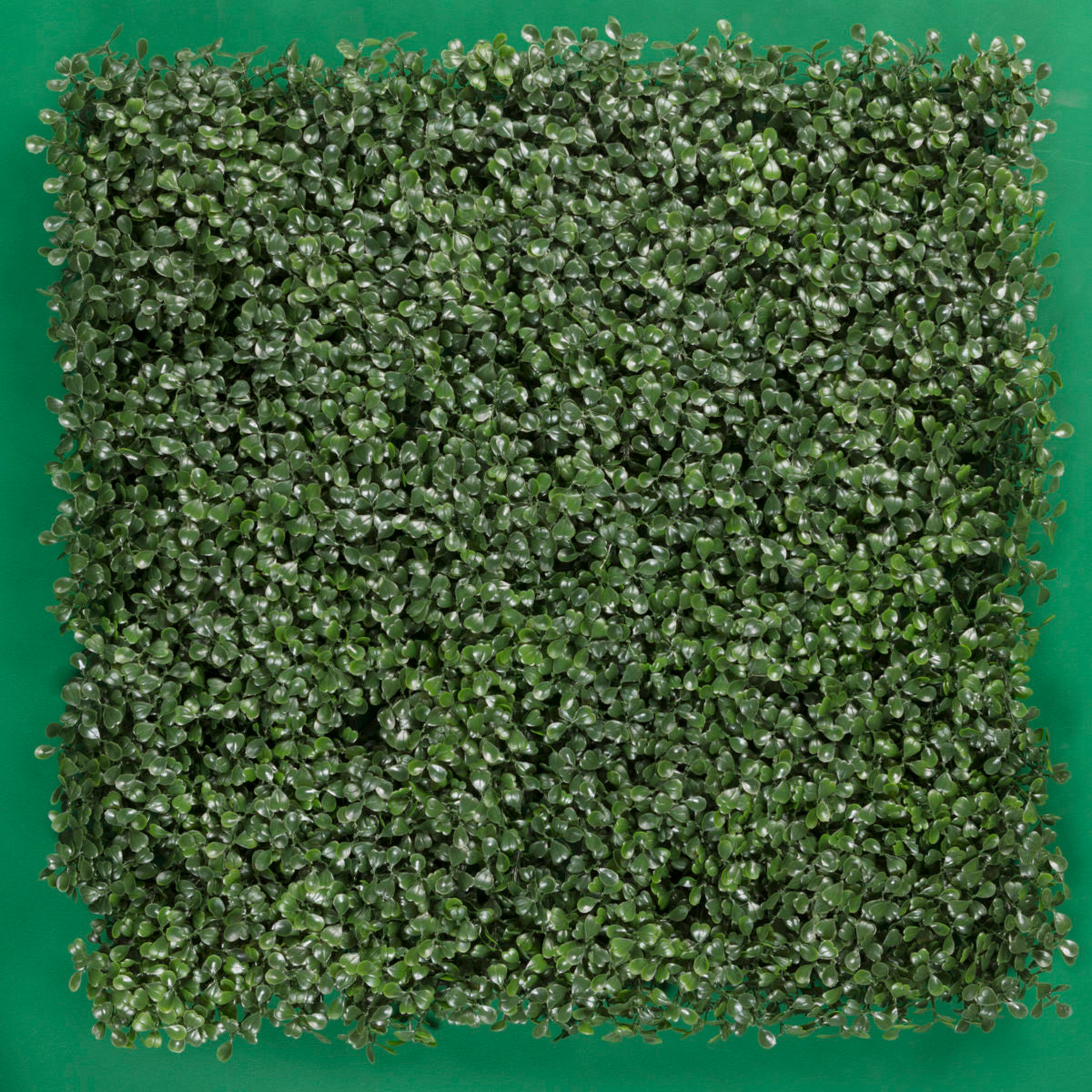 Follaje Artificial Arrayan / Caja con 12 pzs. de 50x50 cm