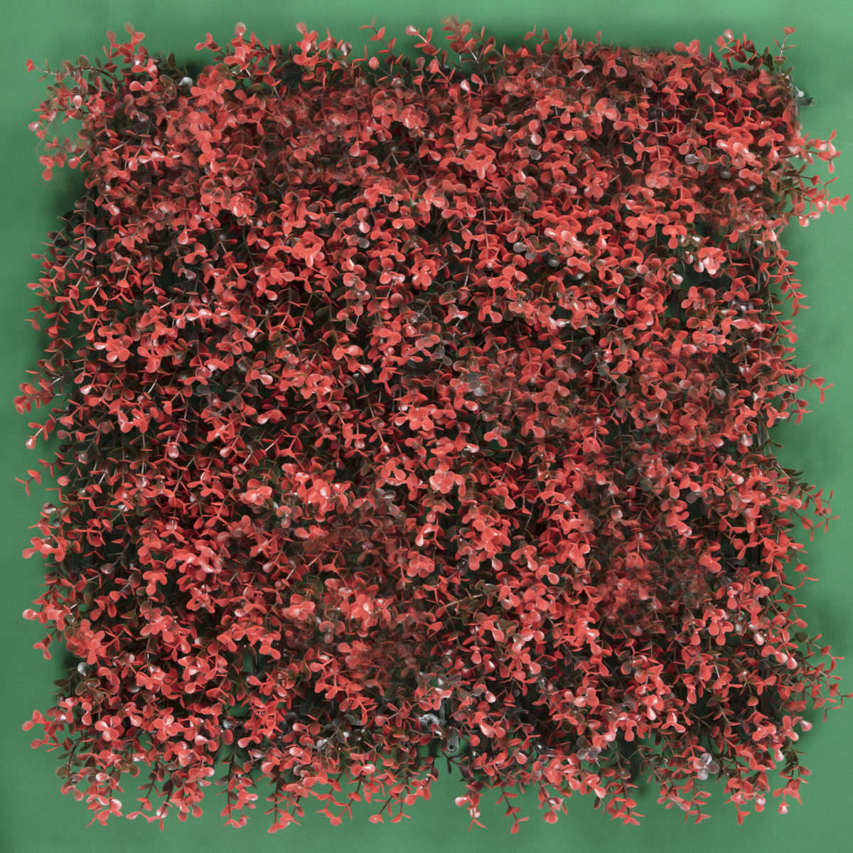 Follaje Artificial Arrayan / Caja con 12 pzs. de 50x50 cm