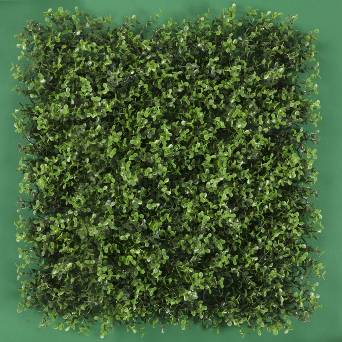 Follaje Artificial Arrayan / Caja con 12 pzs. de 50x50 cm